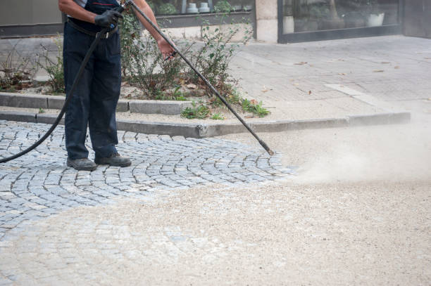 Best Driveway Cleaning and Restoration in Nolensville, TN
